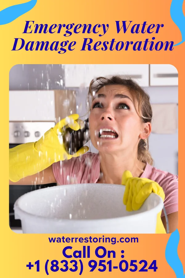 Emergency Water Damage Restoration in Riverside, PA