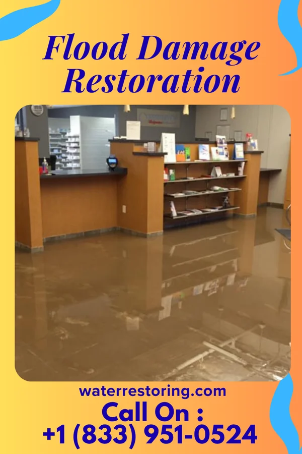 Flood Damage Restoration in Riverside, PA