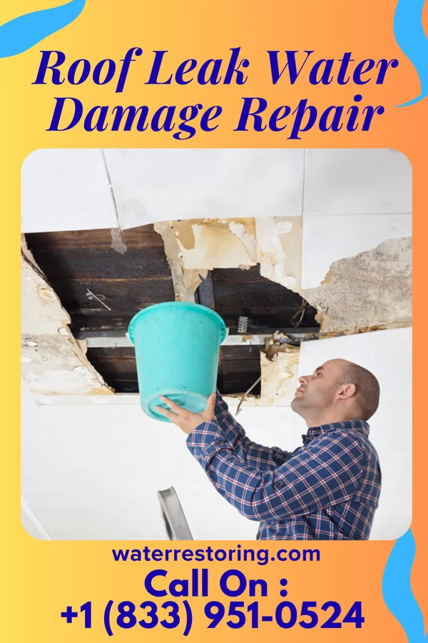 Roof Leak Water Damage Repair in Riverside, PA