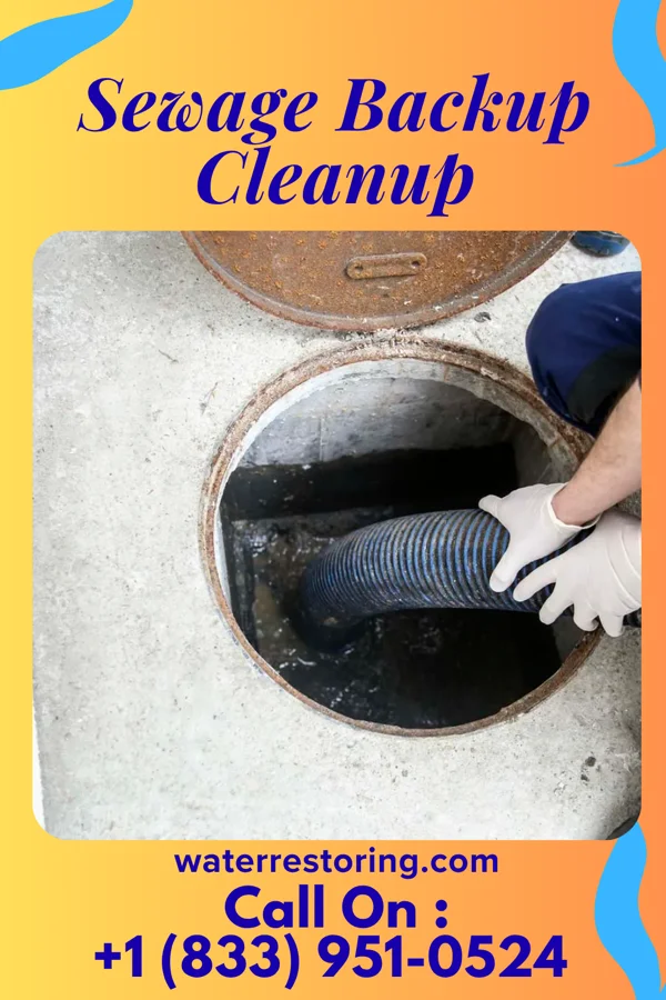Sewage Backup Cleanup in Riverside, PA