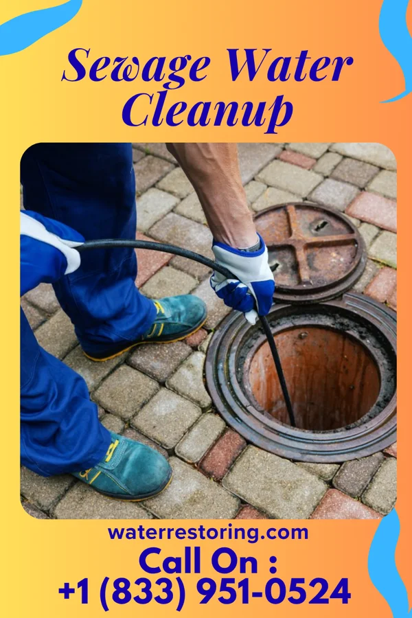 Sewage Water Cleanup in Riverside, PA