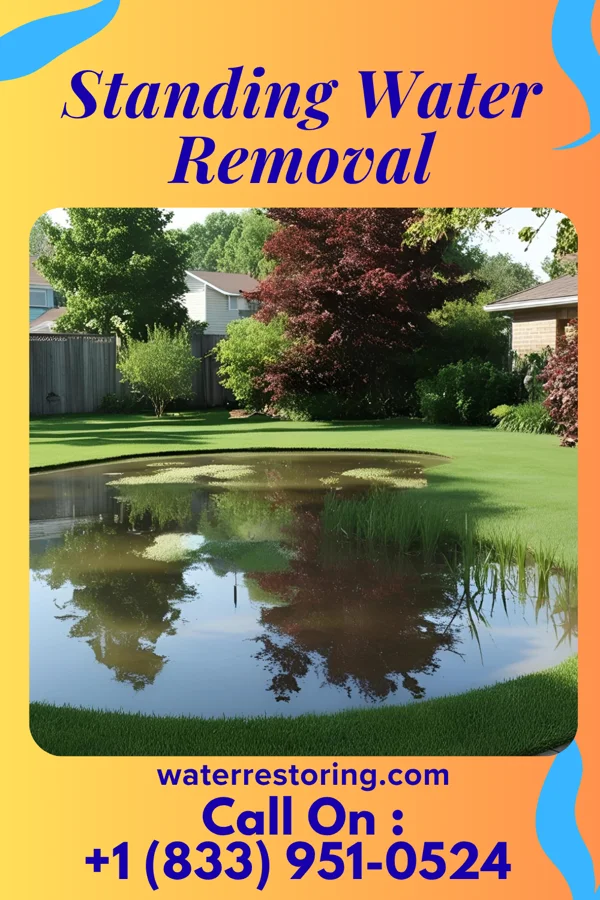 Standing Water Removal in Riverside, PA